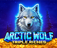 Arctic Wolf Triple Riches